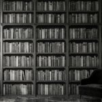фотообои книги библиотека купить